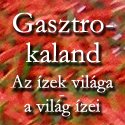 gasztrokaland.hu