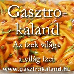 gasztrokaland.hu