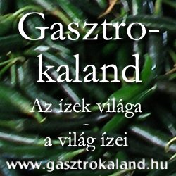 gasztrokaland.hu